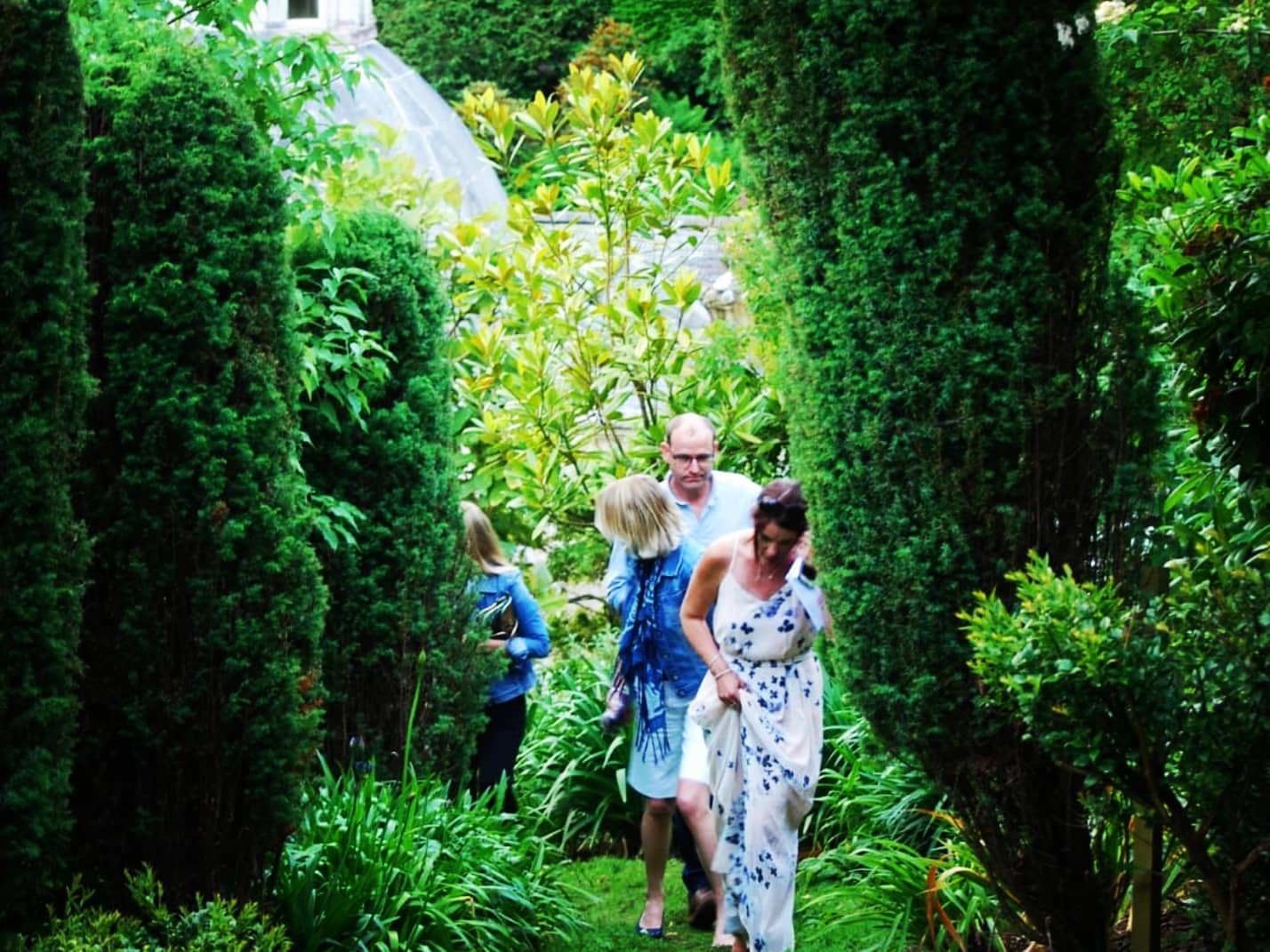 A group of people walking through a garden with large bushes either side